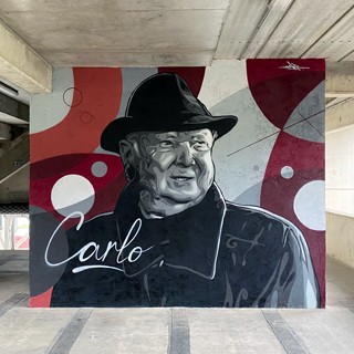 project CARLO